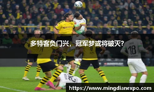 完美体育官网