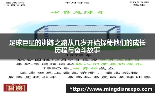 完美体育在线入口官网