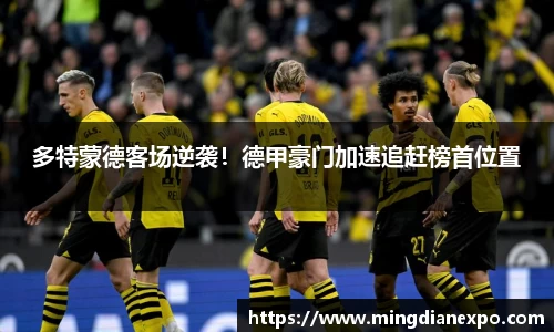 完美体育在线入口官网