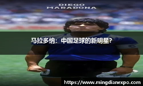 完美体育app下载安装