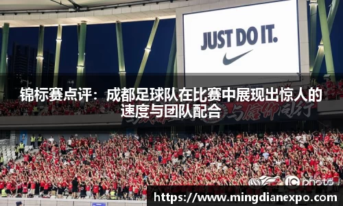 完美体育在线入口官网