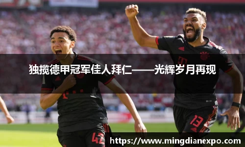 独揽德甲冠军佳人拜仁——光辉岁月再现