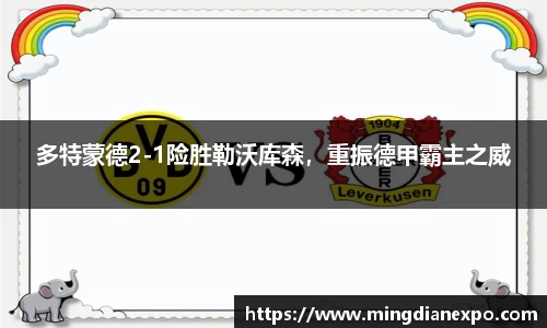 多特蒙德2-1险胜勒沃库森，重振德甲霸主之威