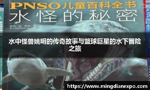 完美体育app下载安装
