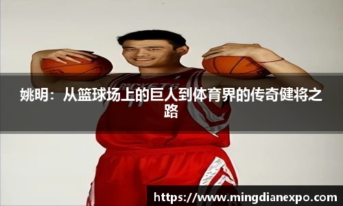 完美体育在线入口官网