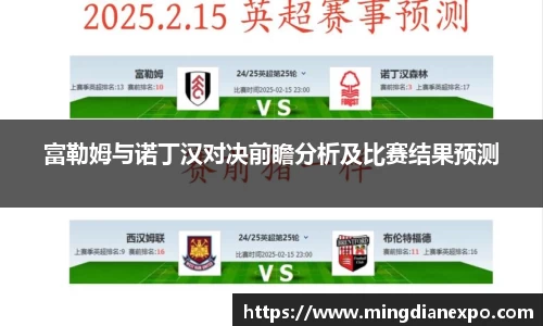 富勒姆与诺丁汉对决前瞻分析及比赛结果预测