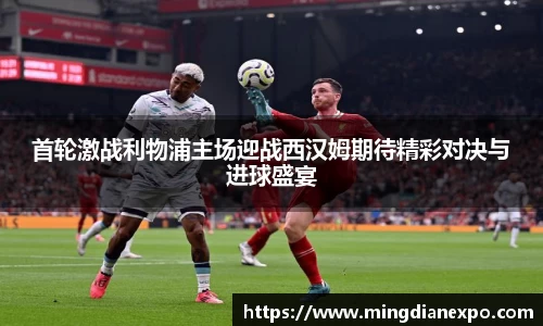 完美体育在线入口官网