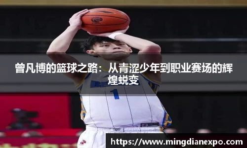 完美体育在线入口官网