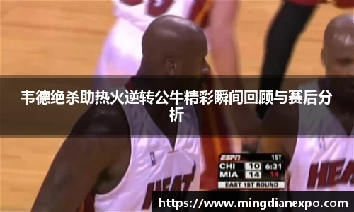 韦德绝杀助热火逆转公牛精彩瞬间回顾与赛后分析