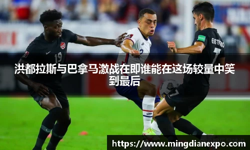 完美体育在线入口官网