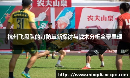 完美体育在线入口官网