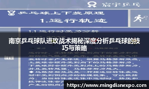 南京乒乓球队进攻战术揭秘深度分析乒乓球的技巧与策略