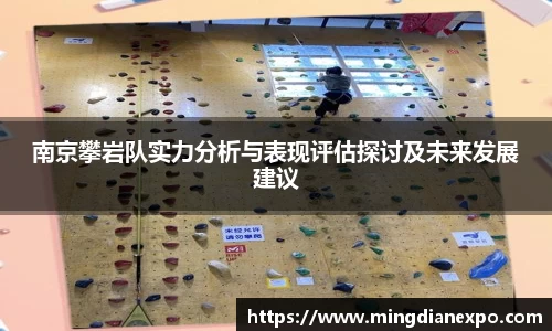 南京攀岩队实力分析与表现评估探讨及未来发展建议