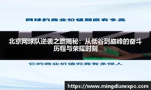 完美体育
